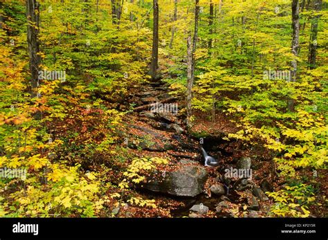 Green mountain national forest vermont hi-res stock photography and