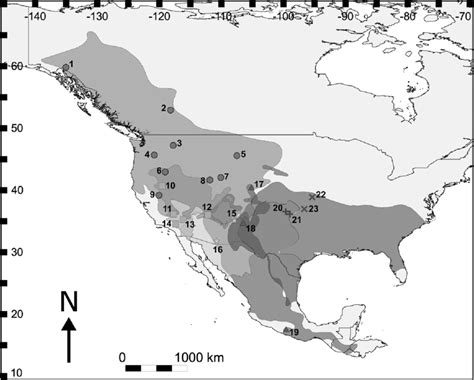 -Neotoma species distributions across North America. Distributions and ...