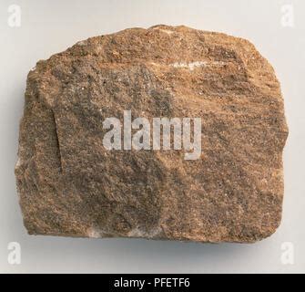 Lithic Sandstone (Sedimentary Rock Stock Photo - Alamy