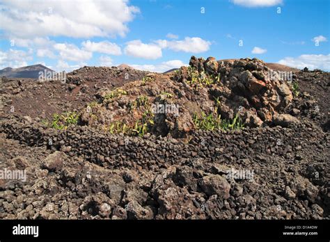 Lava Landscape In Lanzarote Island Stock Photo Alamy