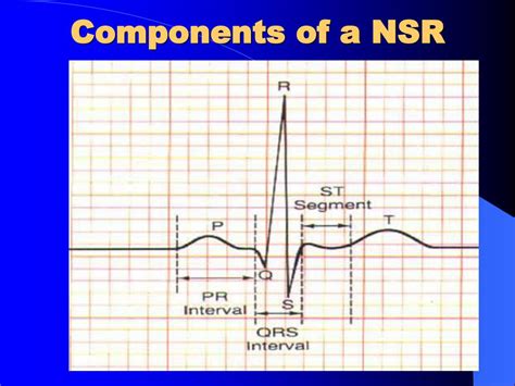 Ppt Electrical Events Of The Cardiac Cycle Electrophysiology