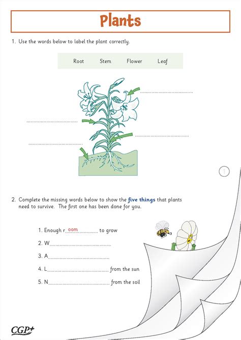 Year 3 Plants — Science Assessment Year 3 Cgp Plus