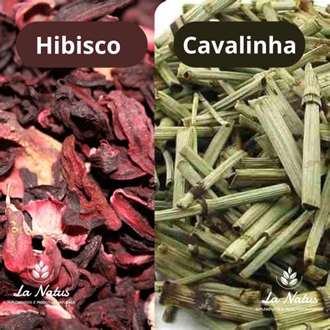 Para Que Serve O Chá De Hibisco E Cavalinha