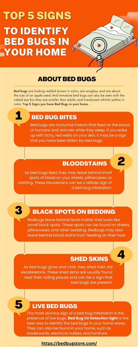 Are You Feel Bed Bugs In Your Home In This Infographics Bedbugstore Experts Has Shared The Top