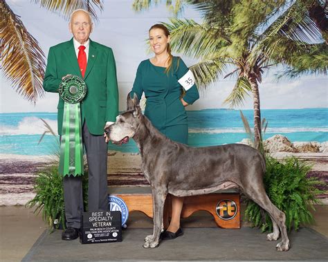 Ocean Blue Danes