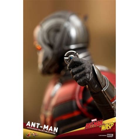 Ant Man MMS497 Hot Toys TOYz Mô hình cao cấp mô hình chính hãng