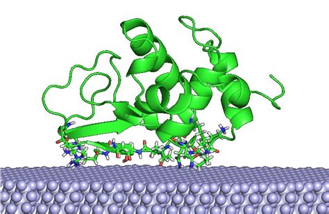 UM achieves new breakthrough in biochip research - University of Macau ...