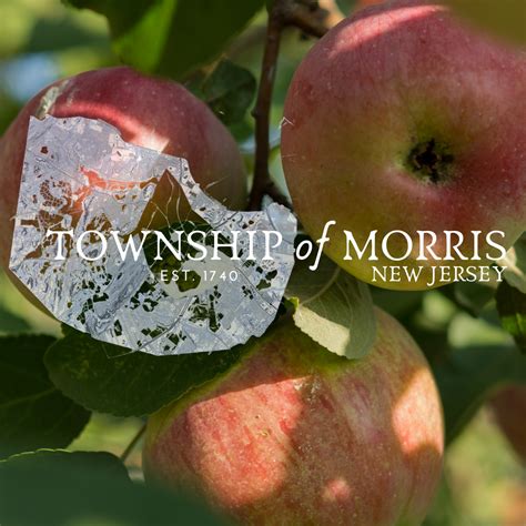Morris Township, NJ - Official Website | Official Website