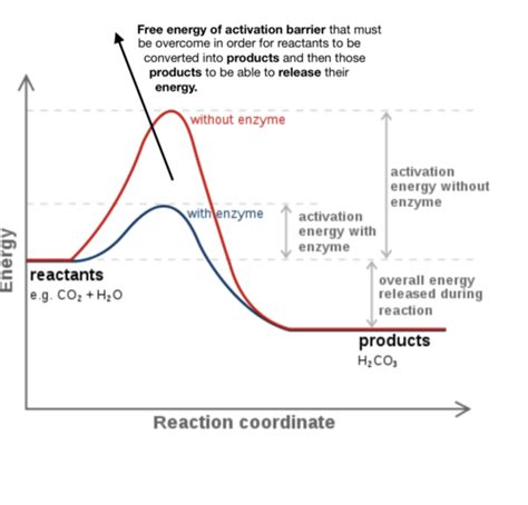 Chem Prep Atomic Theory Flashcards Quizlet