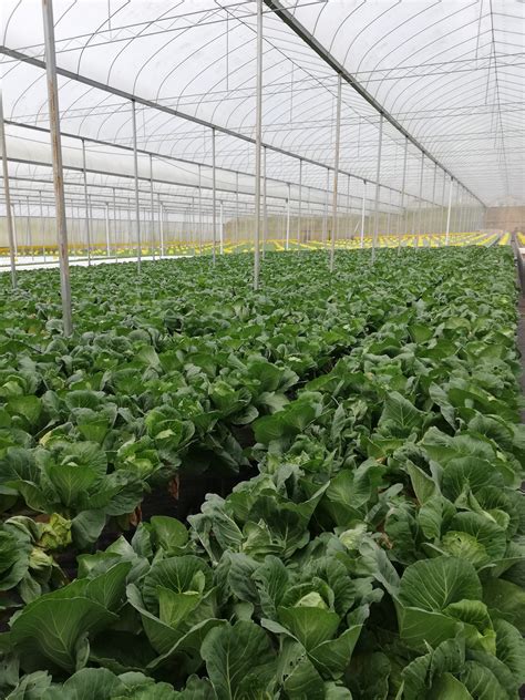 TRUE ORIGINS SDN. BHD. – Venture Grab