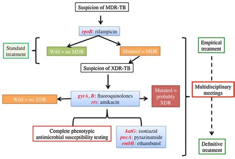 Diagnostic Algorithm Of Antituberculosis Drug Resistance Used By The