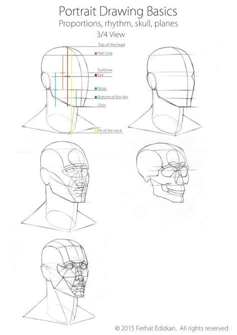 Portrait Drawing Basics Three Quarter View Portrait Drawing Face