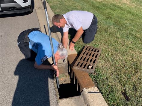 Nine Ducklings Were Rescued From Storm Drain In Plainfield Plainfield