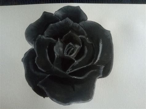 Black Rose drawing by Rebecca Kaylin Jones | Doodle Addicts