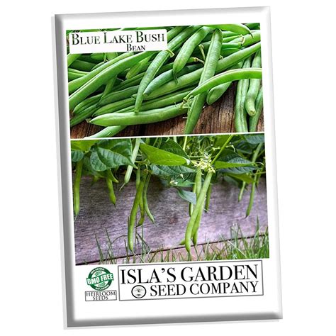 Blue Lake Bush Green Bean Seeds, 50 Heirloom Seeds Per Packet, Non GMO