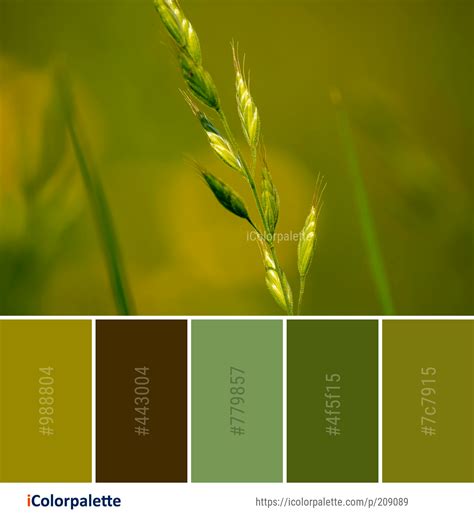 Color Palette Ideas From 3433 Grass Images Icolorpalette Color Inspo Color Inspiration Find