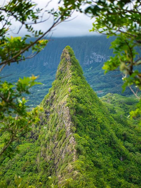 Oahu Hiking Tours - Private Guided Trips | 57hours