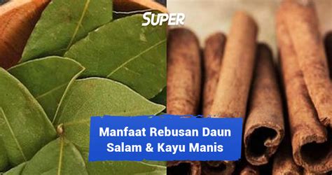 15 Manfaat Rebusan Daun Salam Kayu Manis Bagi Kesehatan