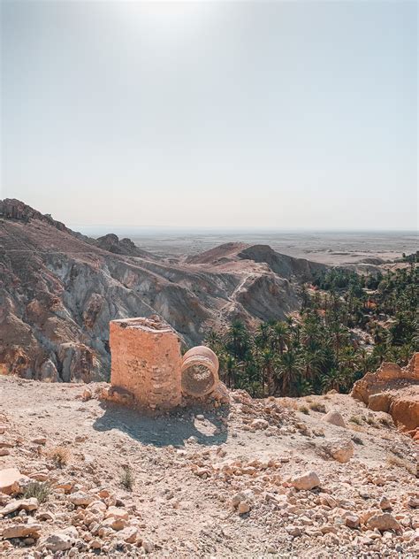 A Guide: What to do in Tozeur Tunisia - Tunisia Guru