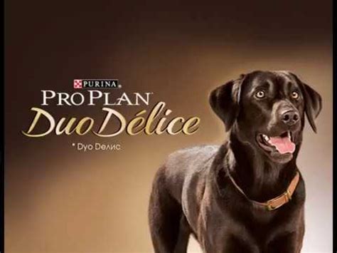 Корма Duo Delice (Дуо Делис) для собак - YouTube