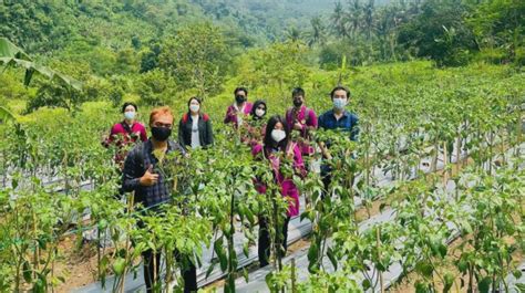 Regenerasi Petani Kementan Tunjuk Orang Jadi Duta Muda Pertanian