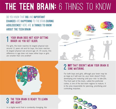 The Teenage Brain Decoda Literacy Solutions