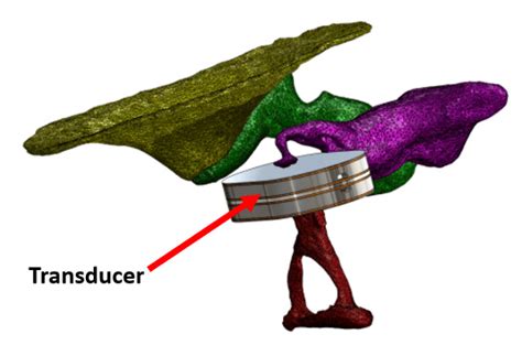 Transducer To Estimate The Force Passing Through The Incudostapedial