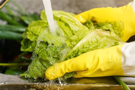 How To Clean Your Garden Vegetables So They're Safe To Eat - Gardenia ...