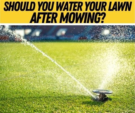 When To Stop Mowing Your Lawn In The Fall Before Winter