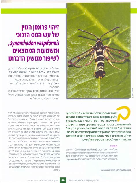 PDF Study Of The Sex Pheromone Of The Yellow Leg Clearwing Synanthedon Vespiformis And The