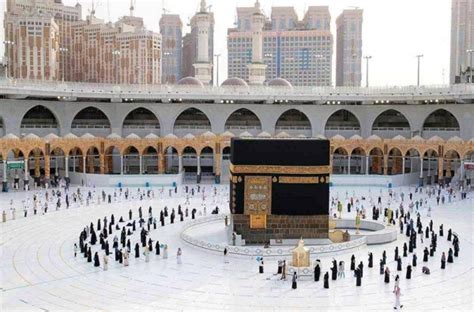 New Umrah App To Improve Pilgrims Services Motivate Companies About