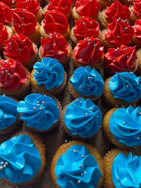 Colegio San Pablo de... - Colegio San Pablo de Cerro Navia