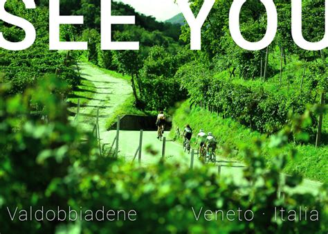 Vie del Vino - Viaggi in Bici