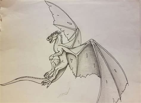 Flying Dragon Drawings In Pencil