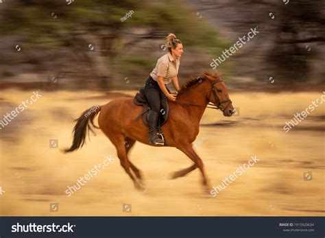 158 imágenes de Savannah blonde Imágenes fotos y vectores de stock Shutterstock