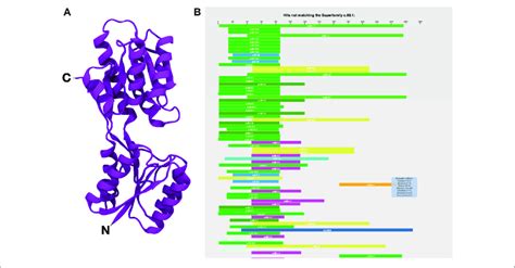 The Ribose Binding Protein From Thermotoga Maritima Tmrbp D Fn A