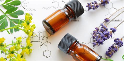 What Are Essential Oils? - Essential Oil ExpertEssential Oil Expert