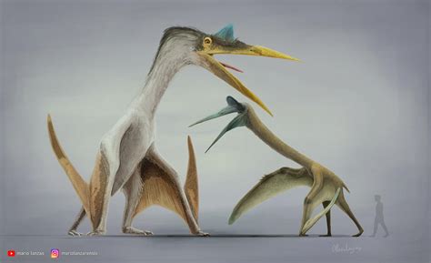 Quetzalcoatlus By Mariolanzas On Deviantart