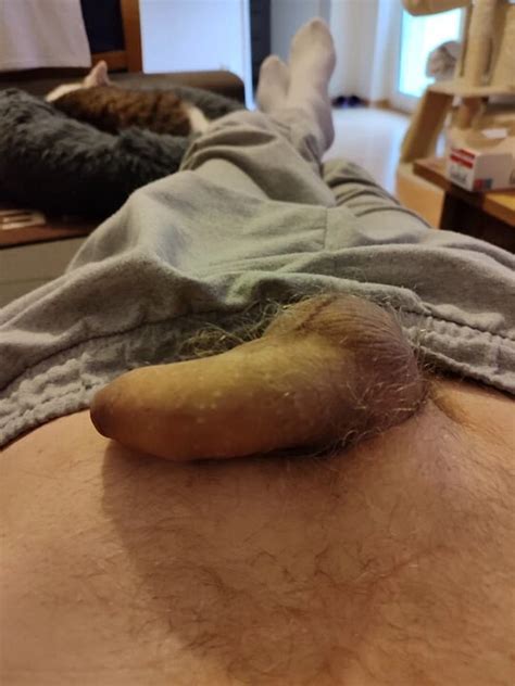 Playing With My Semi Hard Cock Gay Handjob Handjob Porn Feat Prince Sexy XHamster