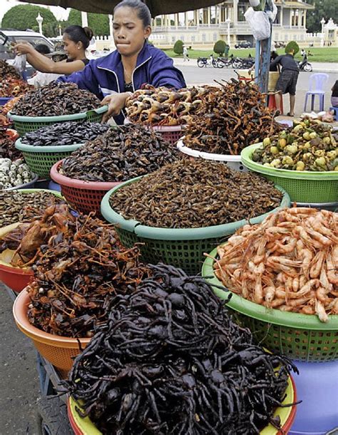 Insekten Gegen Den Hunger In Der Welt Wirtschaft Badische Zeitung