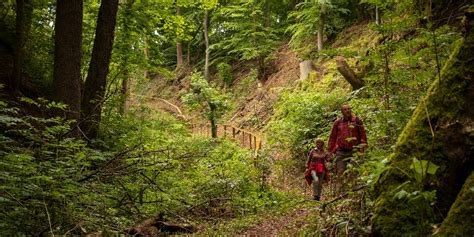 Rhön Rundweg 4 Hilders Rhön Wanderung Tourenportal Rhön