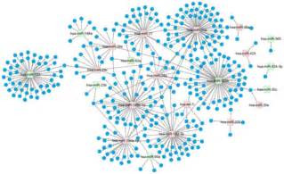 Candidate Mirnas And Pathogenesis Investigation For Hepatocellular