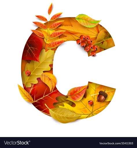 Autumn Stylized Alphabet With Foliage Letter C Vector Image