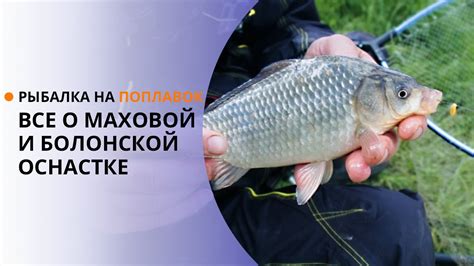Как ловить на поплавок? Рыбалка на поплавок. Все о маховой и болонской ...
