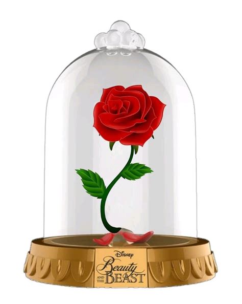 Flor Bela E A Fera Png - Flor da bela e a fera | Belle beauty and the beast, Disney beauty and ...