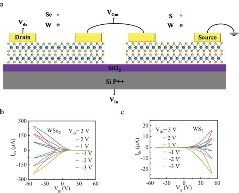 schematic illustration   inverter composed  wse  ws