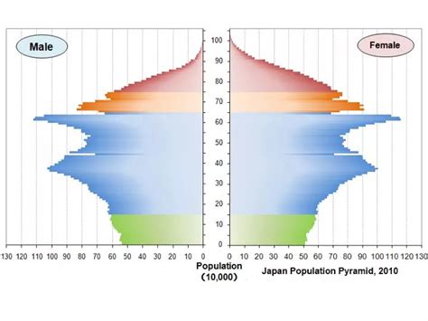 Ppt The Population Pyramid Displays The Age And Sex Structure Of A Country Or Given Area