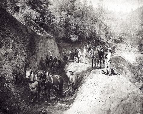 Ledger Dispatch Amador at Jeanette Taylor blog