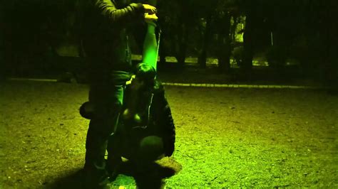 Puta Milf Hace Una Mamada Con Correa En Un Lugar P Blico Xhamster