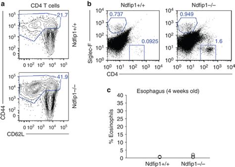 T Cell Activation And Migration Precedes Eosinophilic Infiltration Into Download Scientific